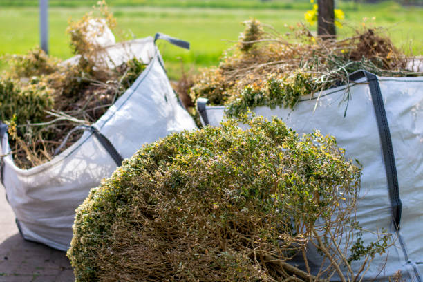 Best Household Junk Removal  in Meadowbrook, AL